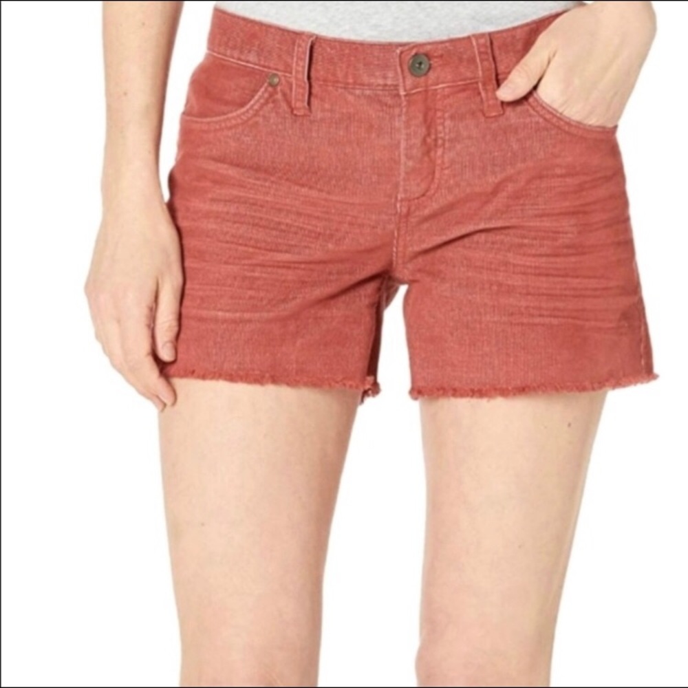 Carve Designs Oahu 4” Shorts Dark Coral Size 2